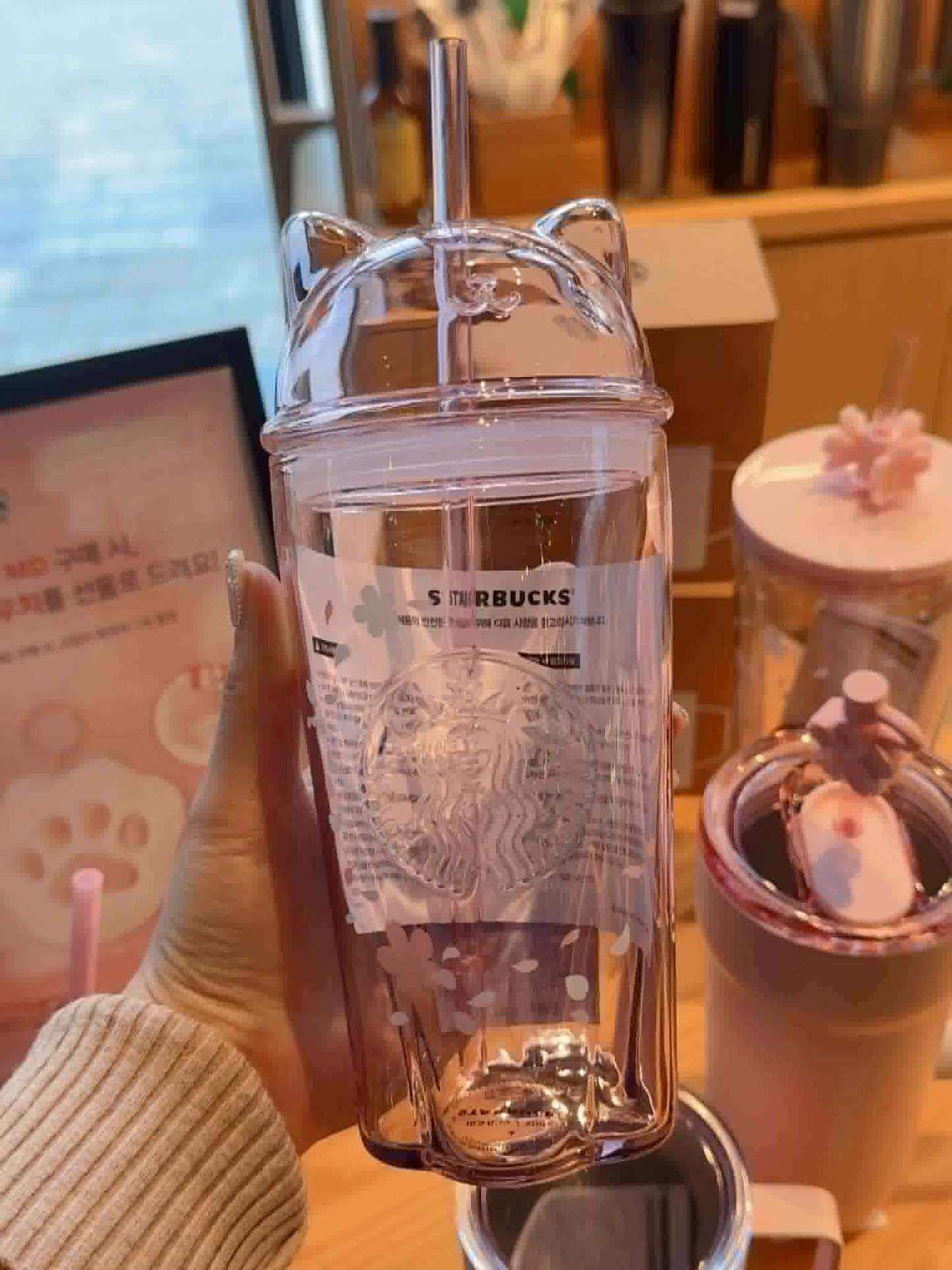 Starbucls Glass Cup Cat Cherry Blossom 2026 Korea 17oz